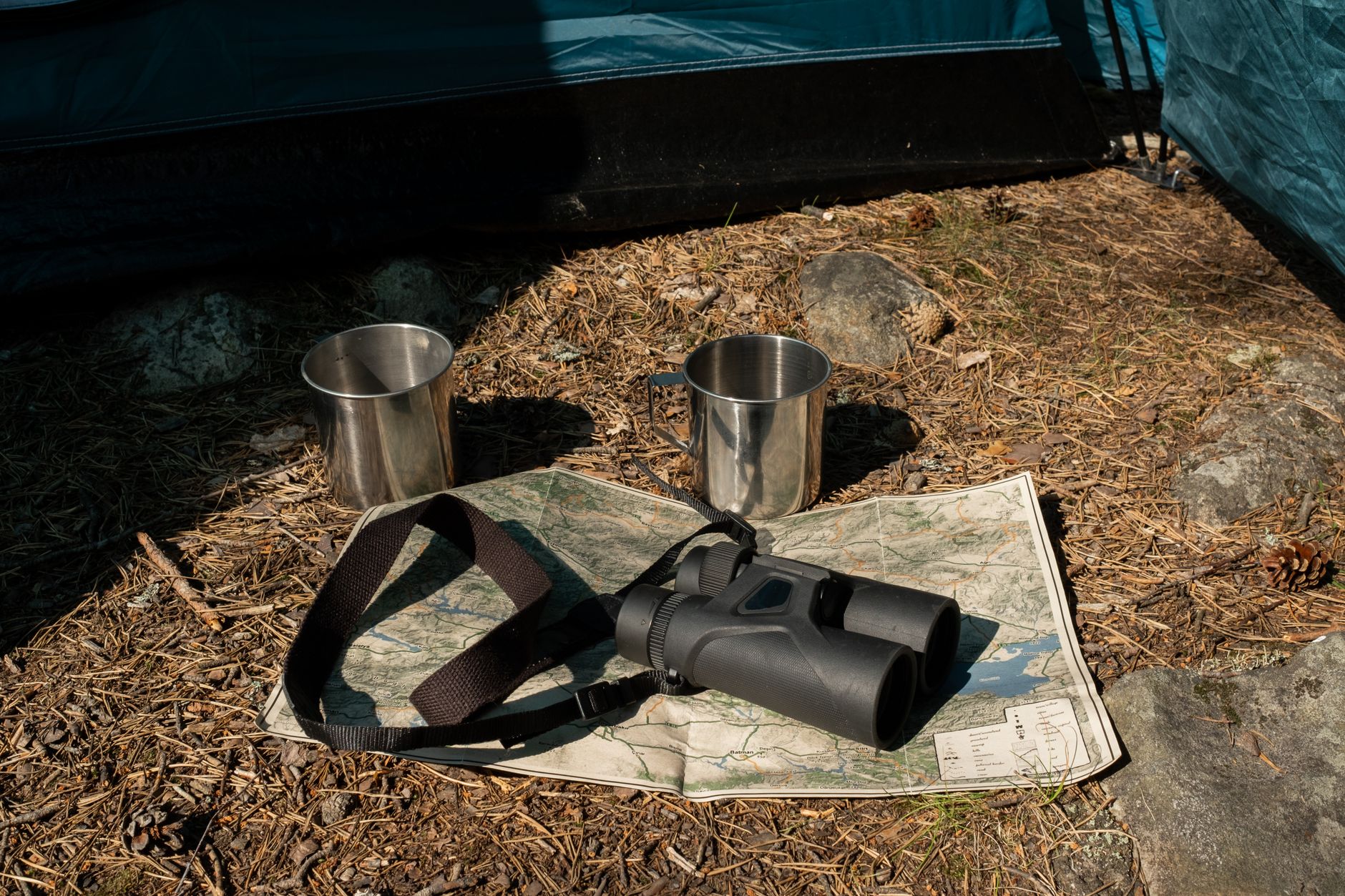 Birdwatching for Beginners: Essential Gear and Field Guide Tips