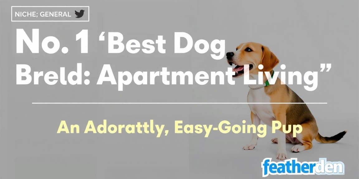 No. 1 ‘Best Dog Breed For Apartment Living’ Is An Adorable, Easy-Going Pup - featherden