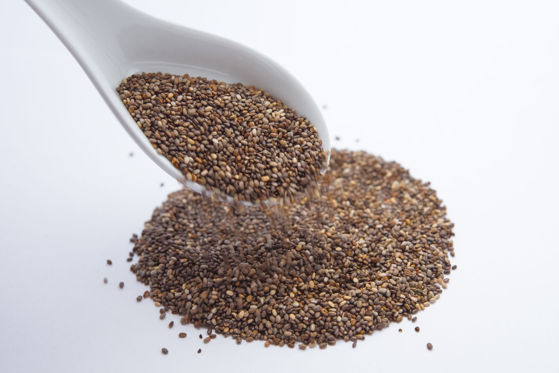 Beyond Seeds: The Top 3 Protein Boosters for Active Parrots - featherden