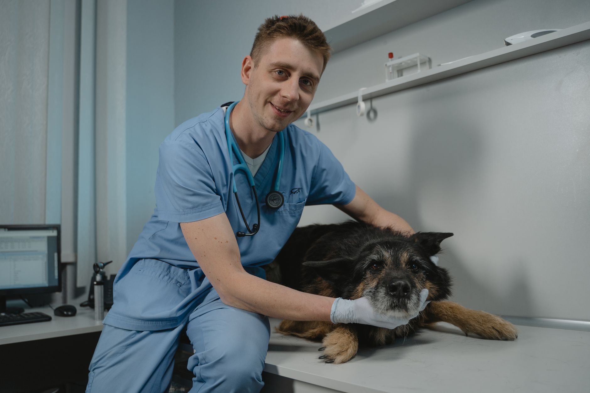 The Best Pet Health Care Advice From Real Vets - FeatherDen