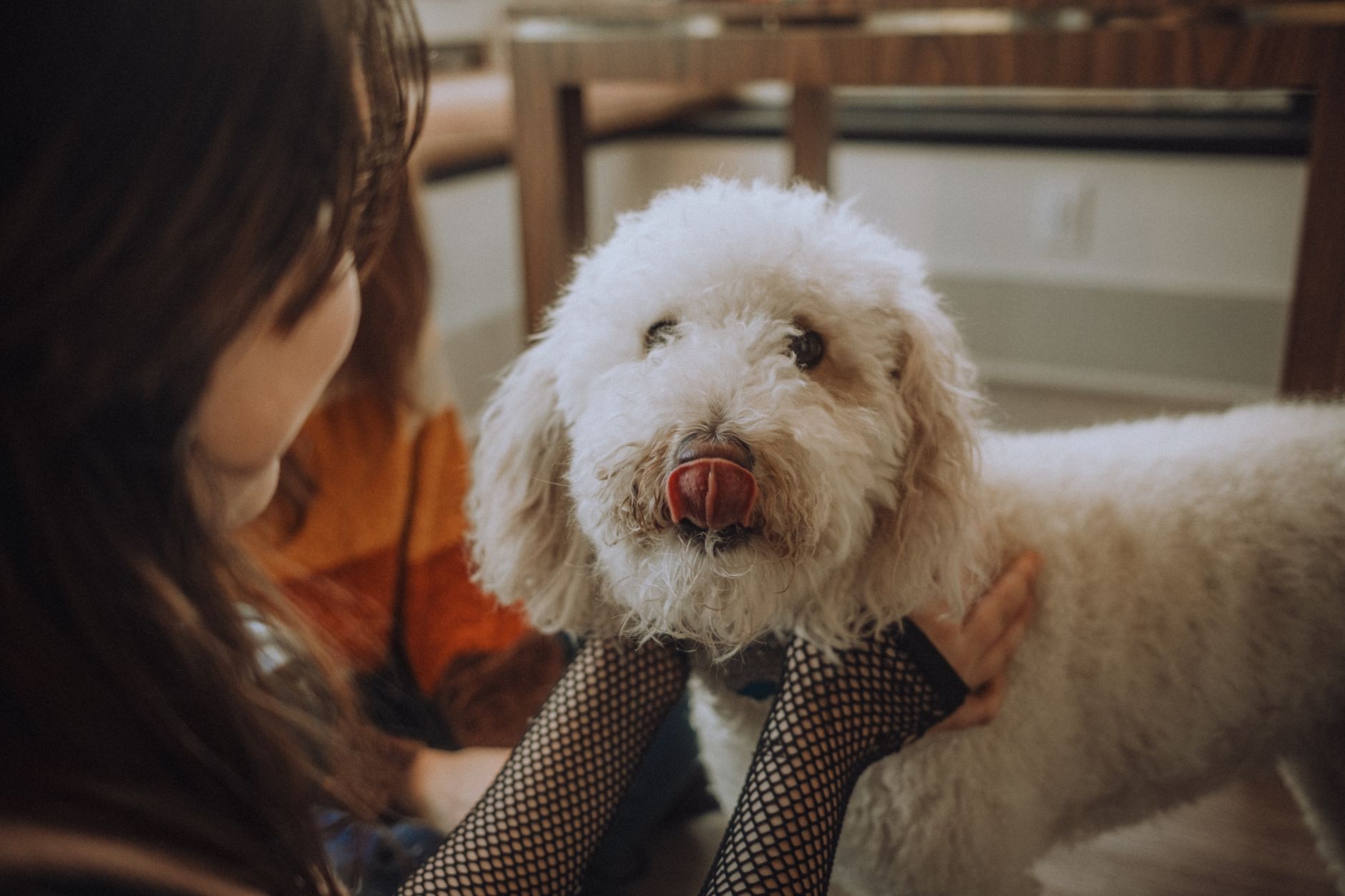 Unleash Your Inner Tech Whiz: How to Monetize AI Skills for Pet Lovers - FeatherDen