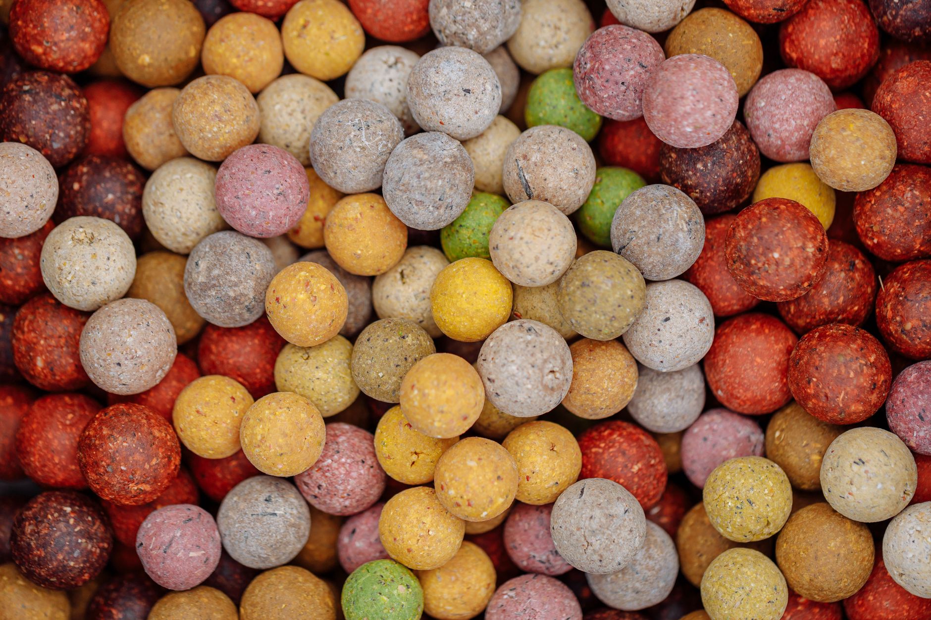 Diet Specifics: Species-Appropriate Nutrition, Not Just Pellets — How to Keep Your Pet Bird Healthy: Complete Featherden Care Guide